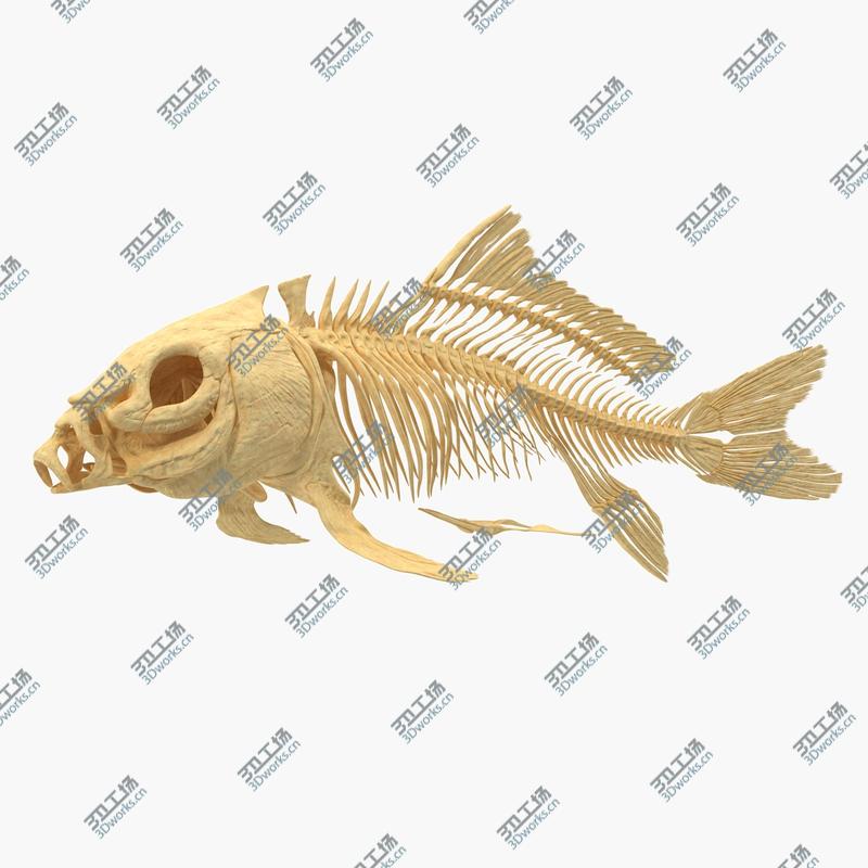 images/goods_img/2021040231/Carp Skeleton 3D/1.jpg